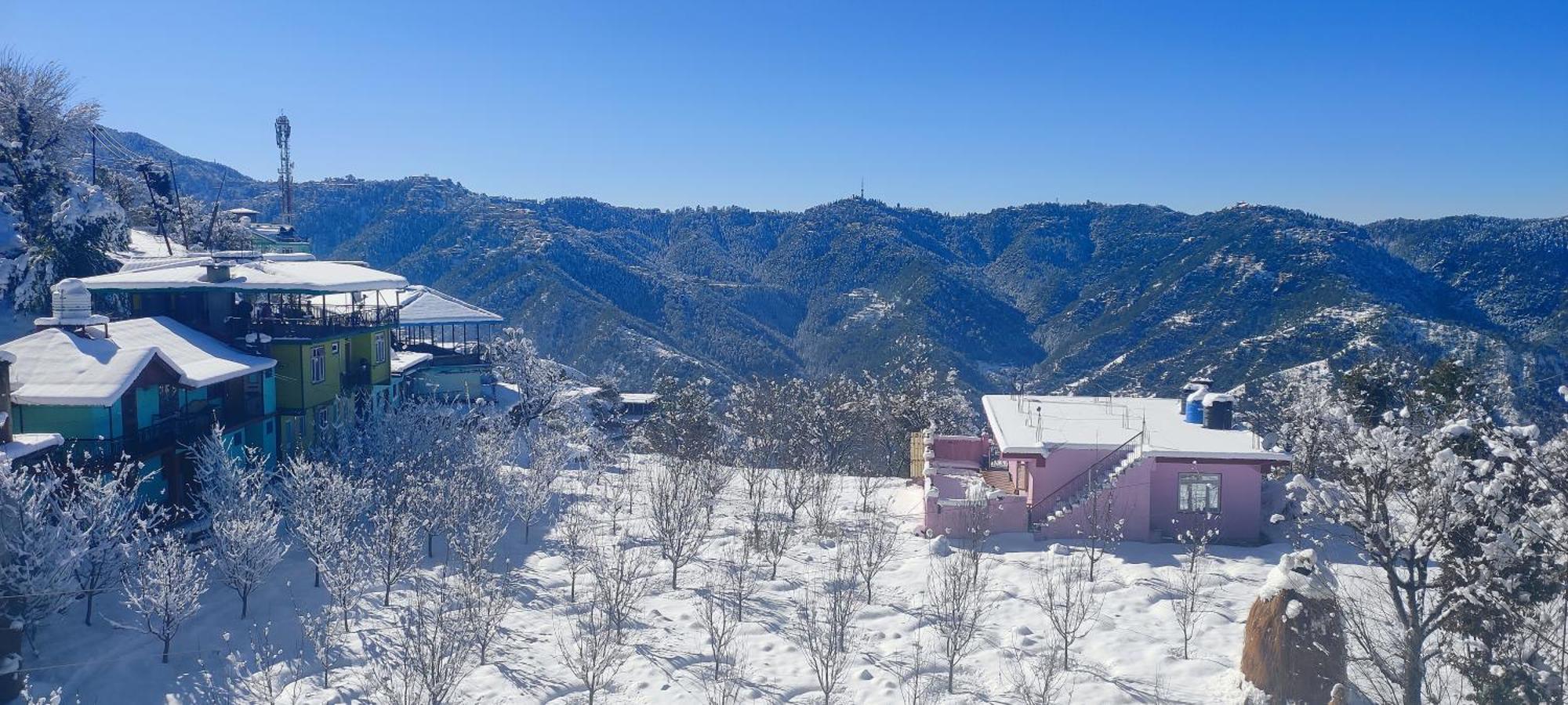 Vintage Woods Inn Shimla Exterior foto